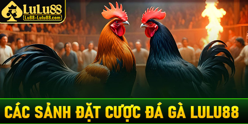 Danh sách các sảnh đặt cược đá gà LuLu88 đang làm mưa làm gió tại Việt Nam